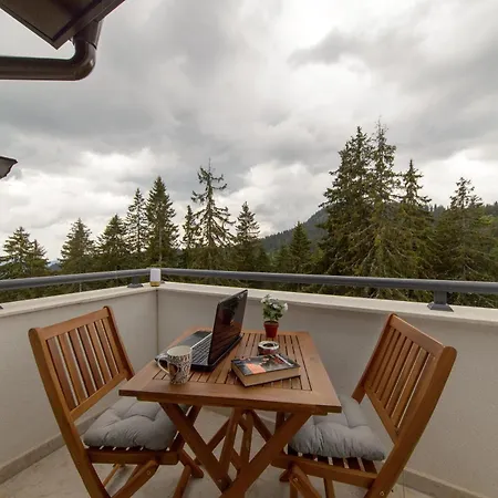 公寓 Luxury 2-bedroom By Studenets Center By Flat Mаnager 潘波洛沃